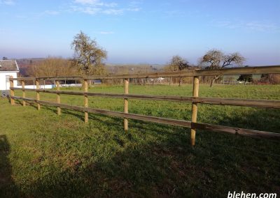 clôture équestre en bois