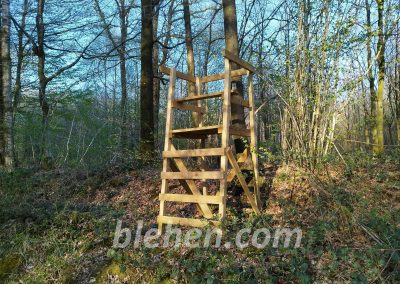 mirador blehen